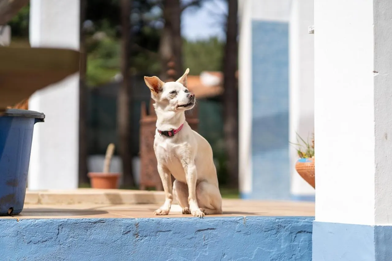 Aljezur Villas Hostel